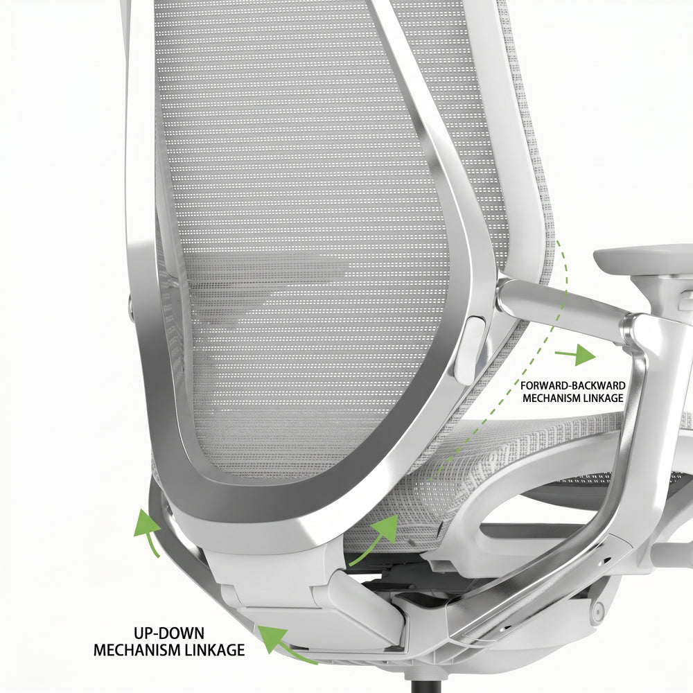 Dynamic Dual-Back Linkage