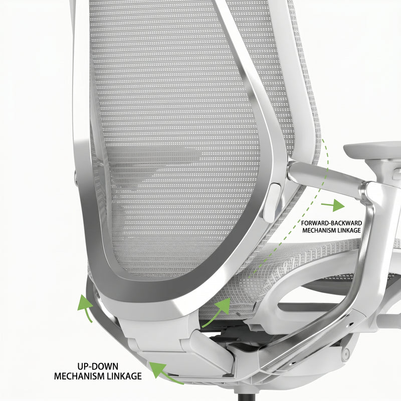 Dynamic Dual-Back Linkage