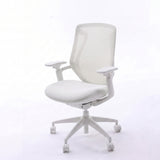 White BIRCH ergonomic chair with a mesh back and adjustable armrests on a white background