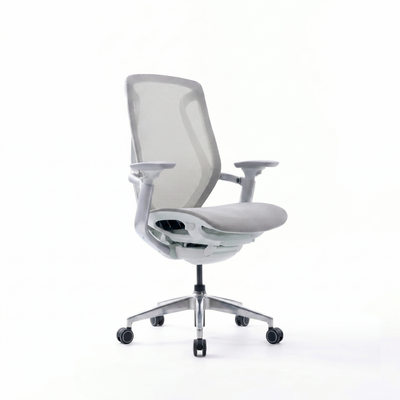 BIRCH Ergonomic Chair