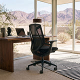 Black BIRCH ergonomic chair at a wooden desk in a desert home office with mountain views